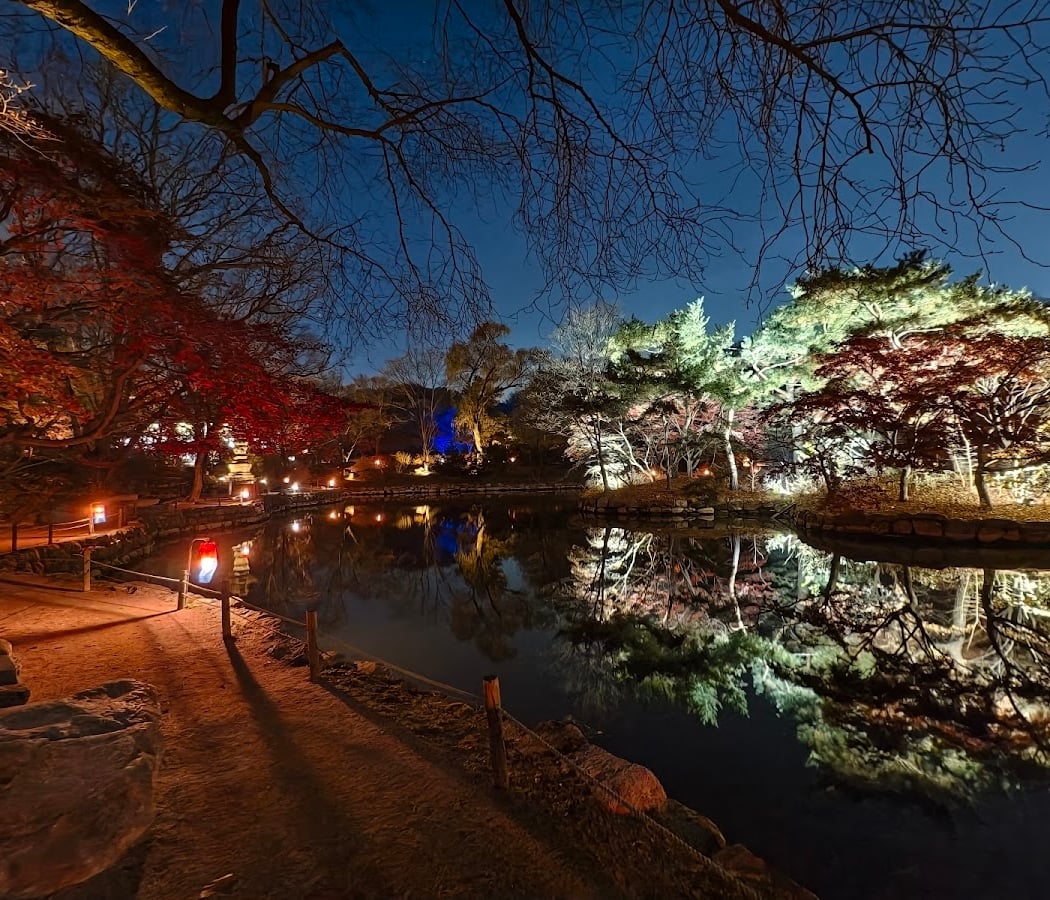 창경궁 물빛연화 1